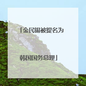 金民锡被提名为韩国国务总理